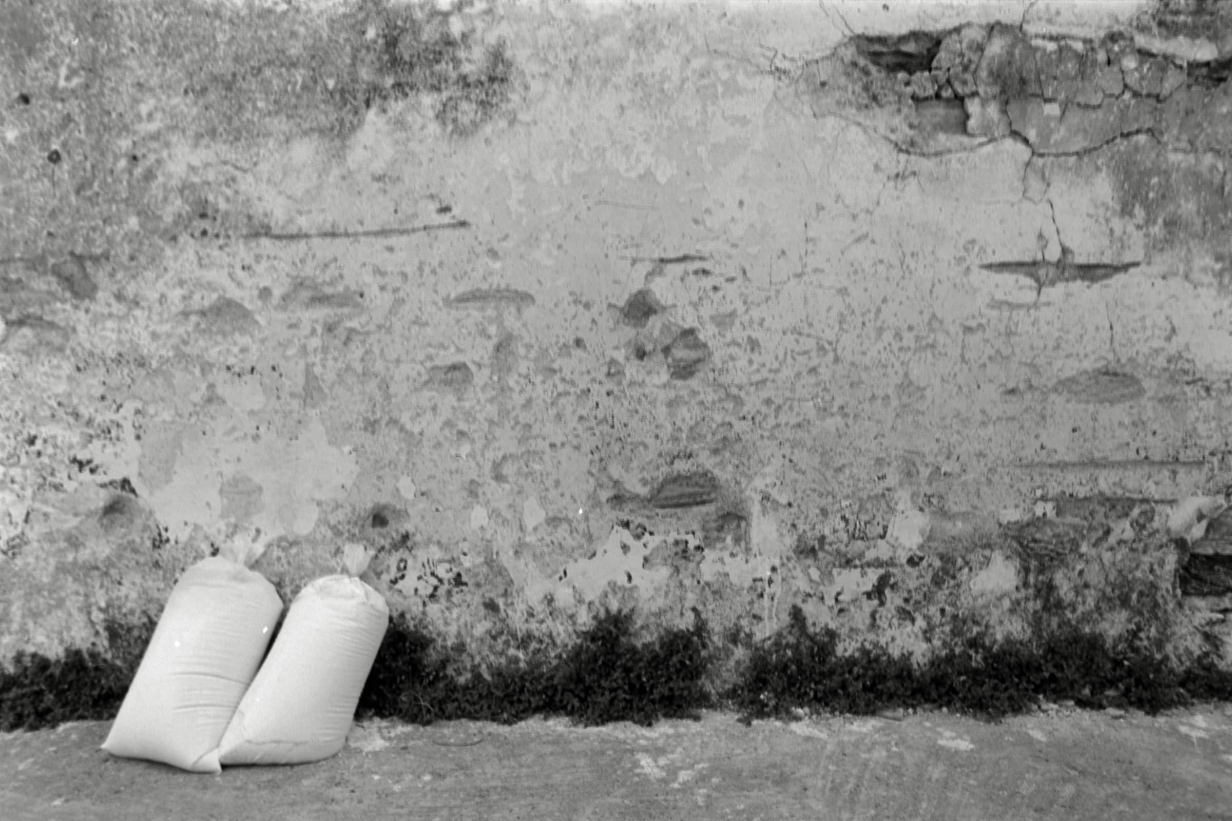 AHP F1991 09 001 sc250507 img20 NLP